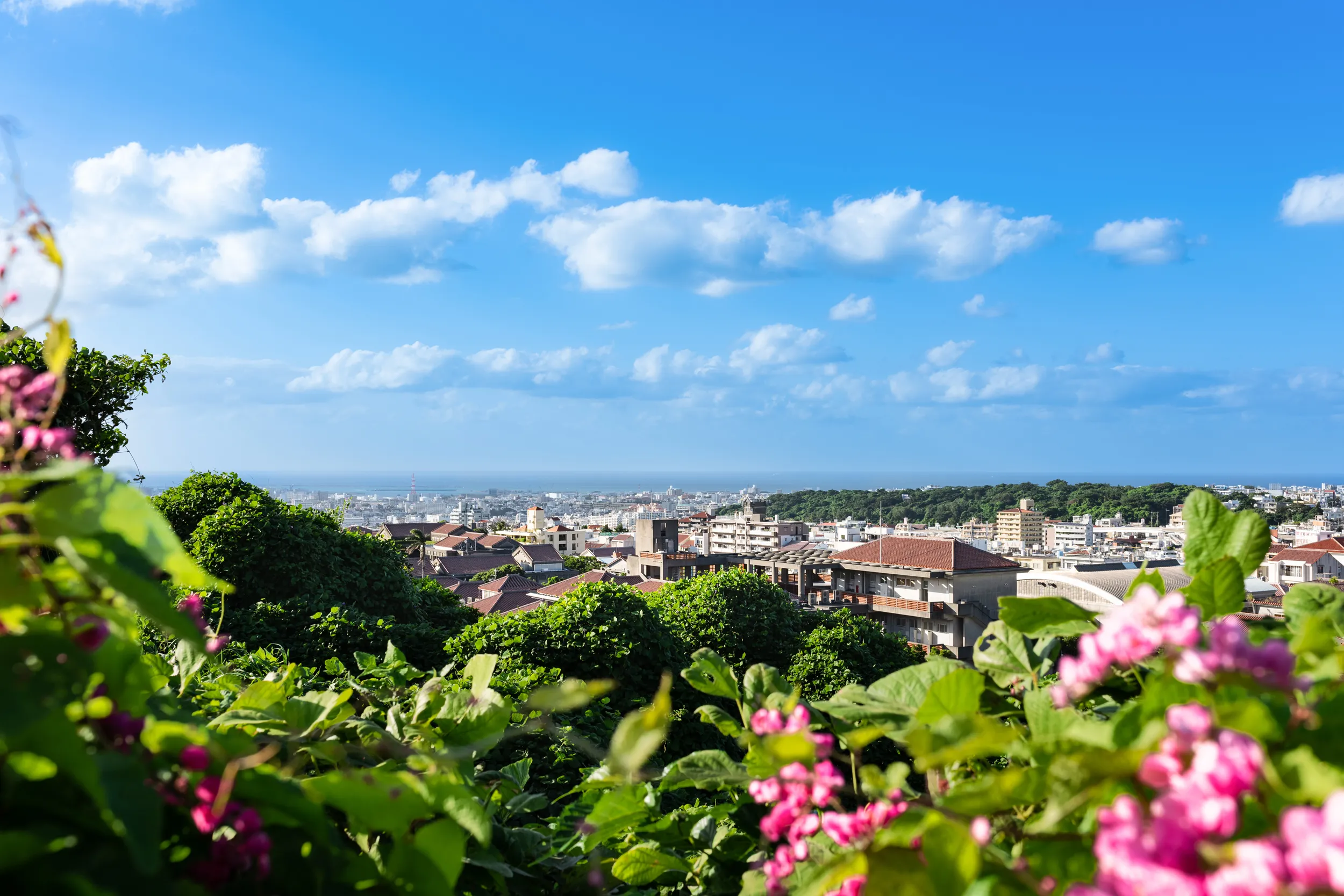 株式会社琉創住建